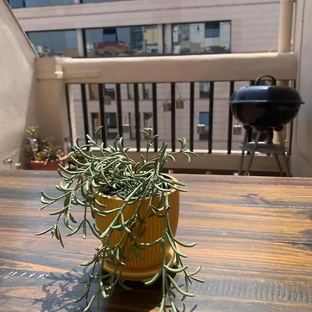Apartamento ático En El Centro Con Terraza