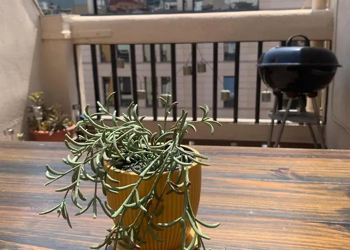 Apartamento ático En El Centro Con Terraza