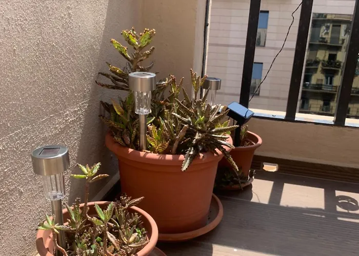 Apartamento ático En El Centro Con Terraza Valência