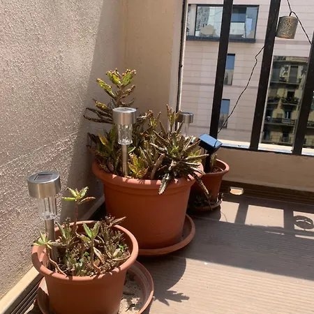 Appartamento ático En El Centro Con Terraza Valenza